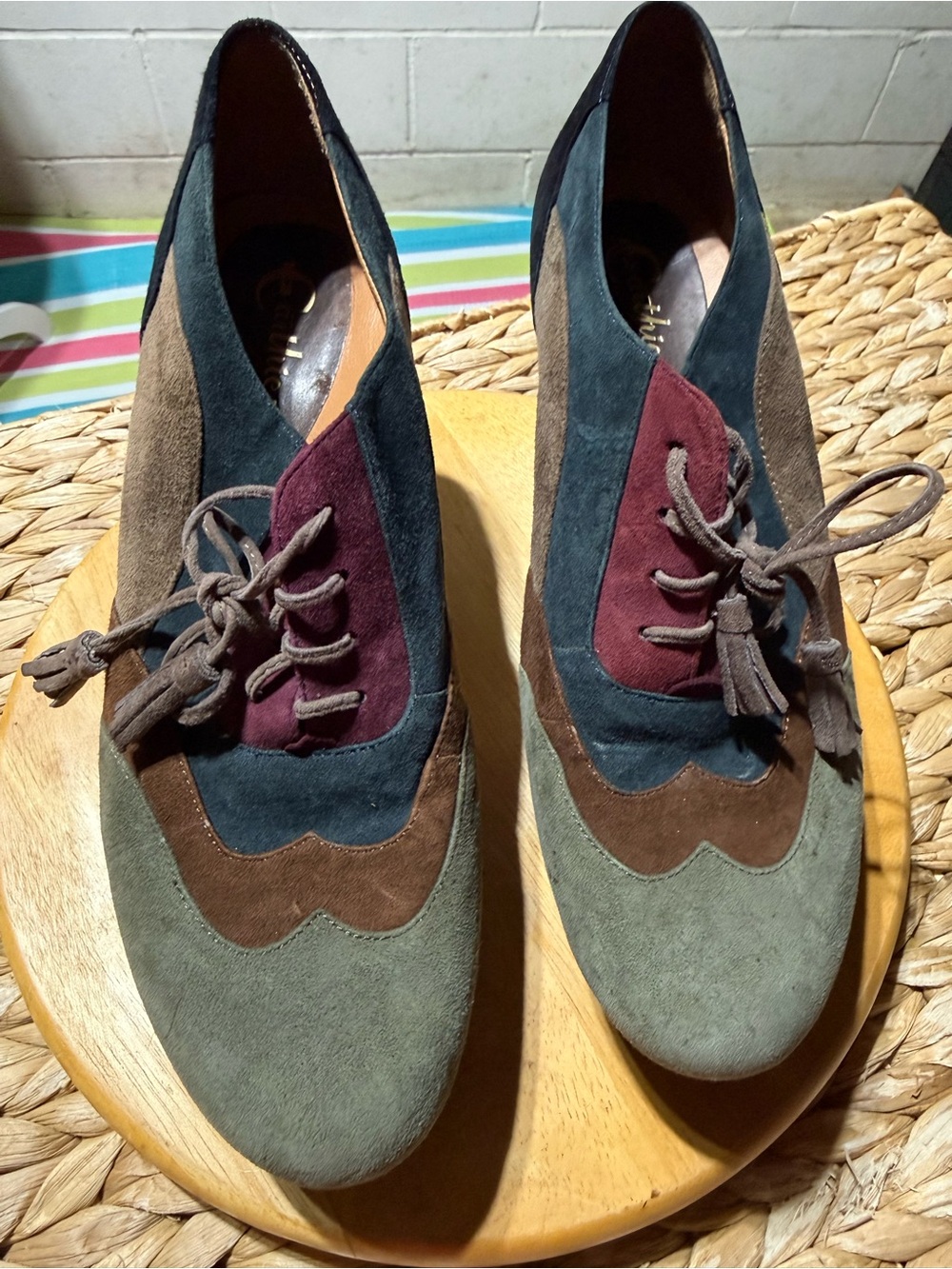 Earthies Multicolor Suede Loafers - Black, Brown, Navy & Burgundy
